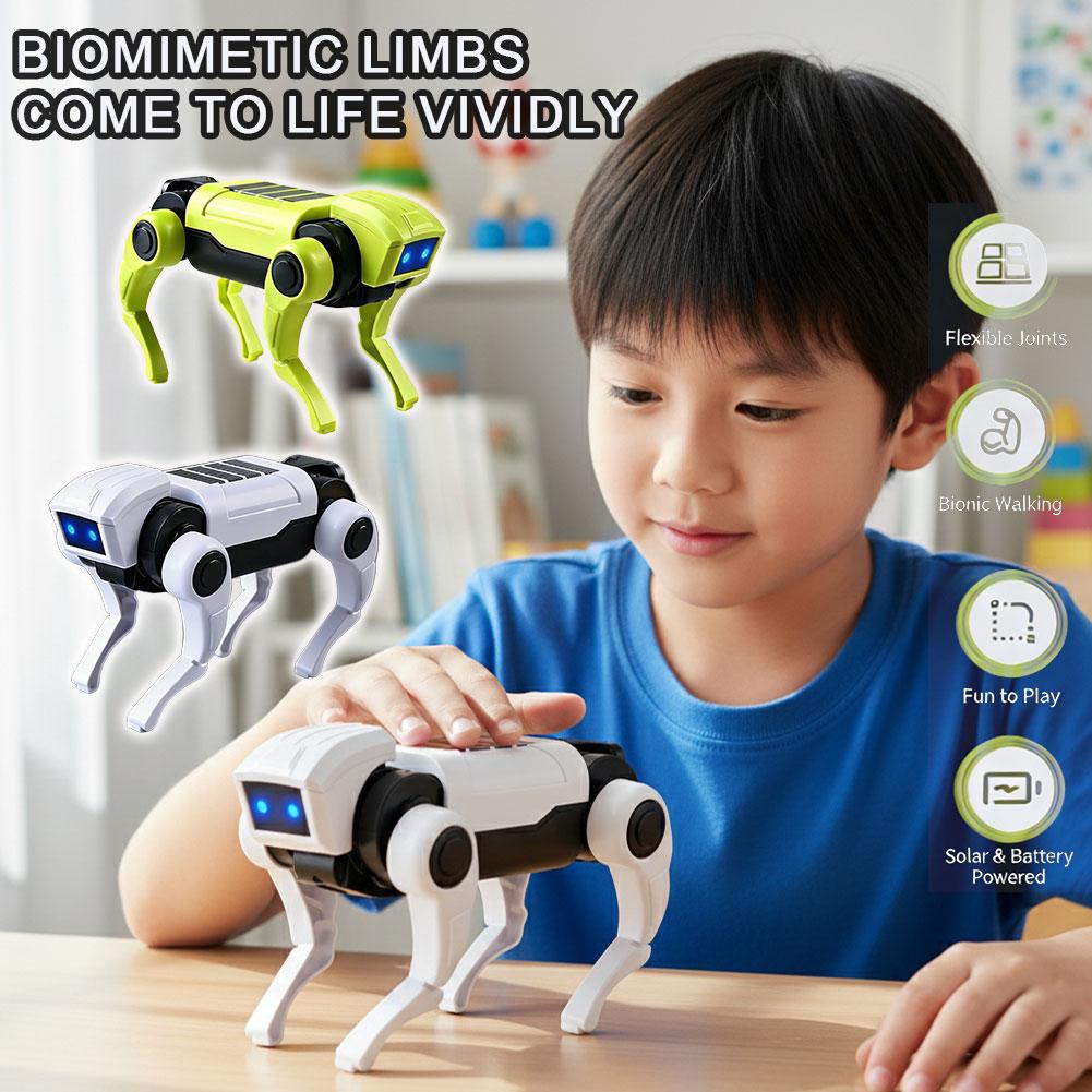 Science Toys Diy - DIY 조립 RC 로봇 개 장난감