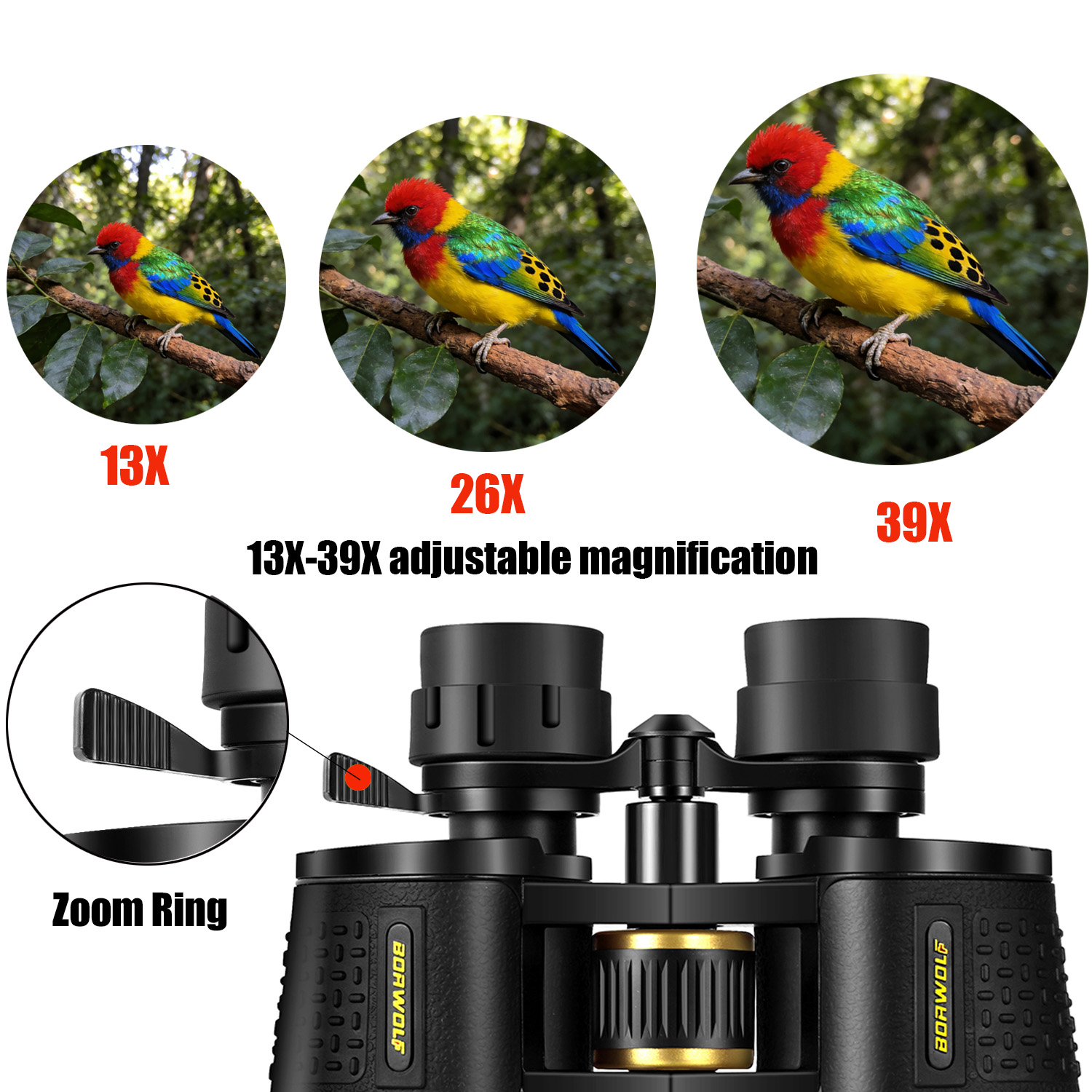 BORWOLF 13-39X70 ED 고배율 장거리 줌  - National Geographic Telescope 70Mm 리뷰 및 가격